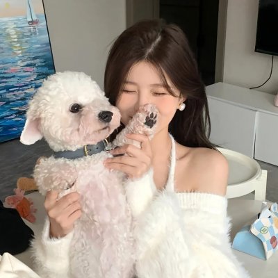 换嫁后被贝勒宠上天